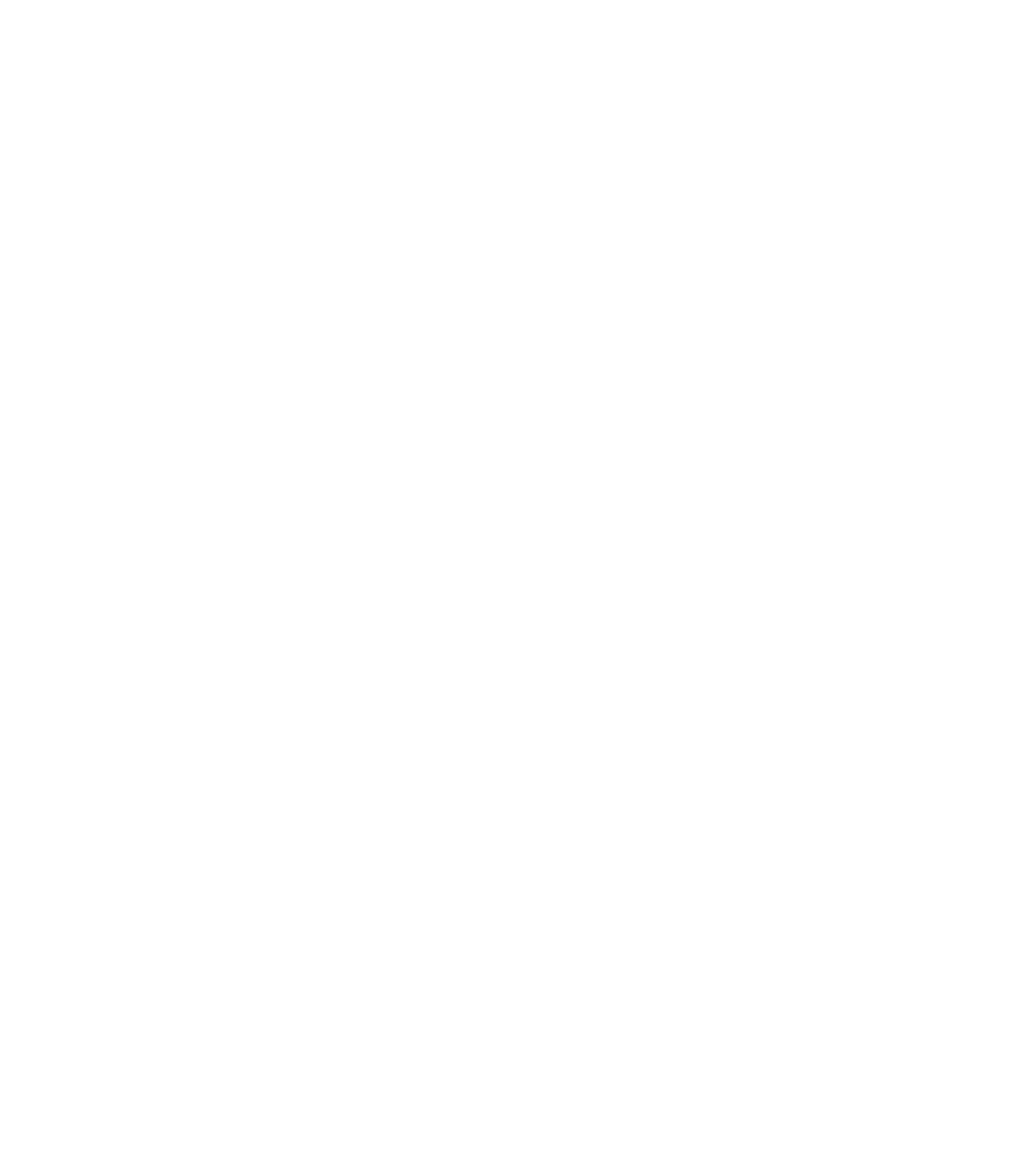 cyber essentials logo